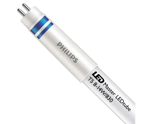 T5